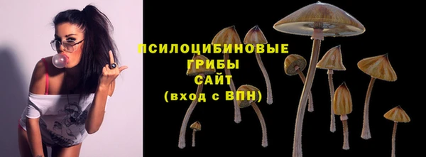 таблы Няндома