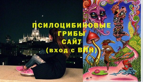 таблы Няндома
