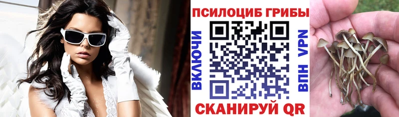 OMG маркетплейс  Сарапул  Галлюциногенные грибы Cubensis 