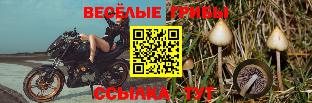 Сарапул  закладка  Галлюциногенные грибы мицелий  Вход с VPN  Галлюциногенные грибы MAGIC MUSHROOMS 